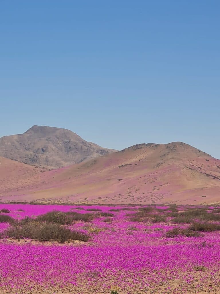Valle territorial