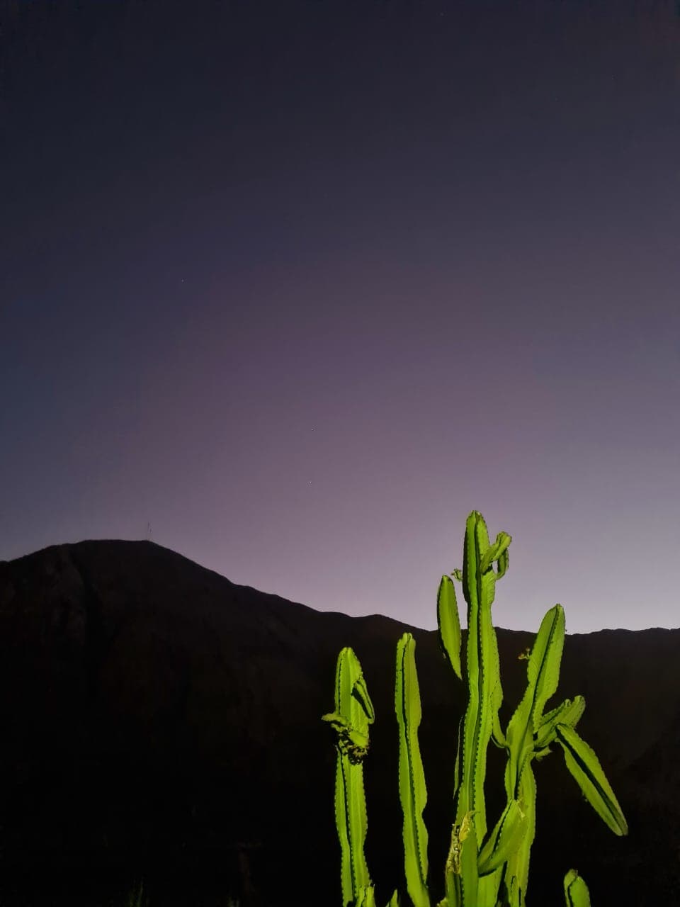 Cielo nocturno del valle
